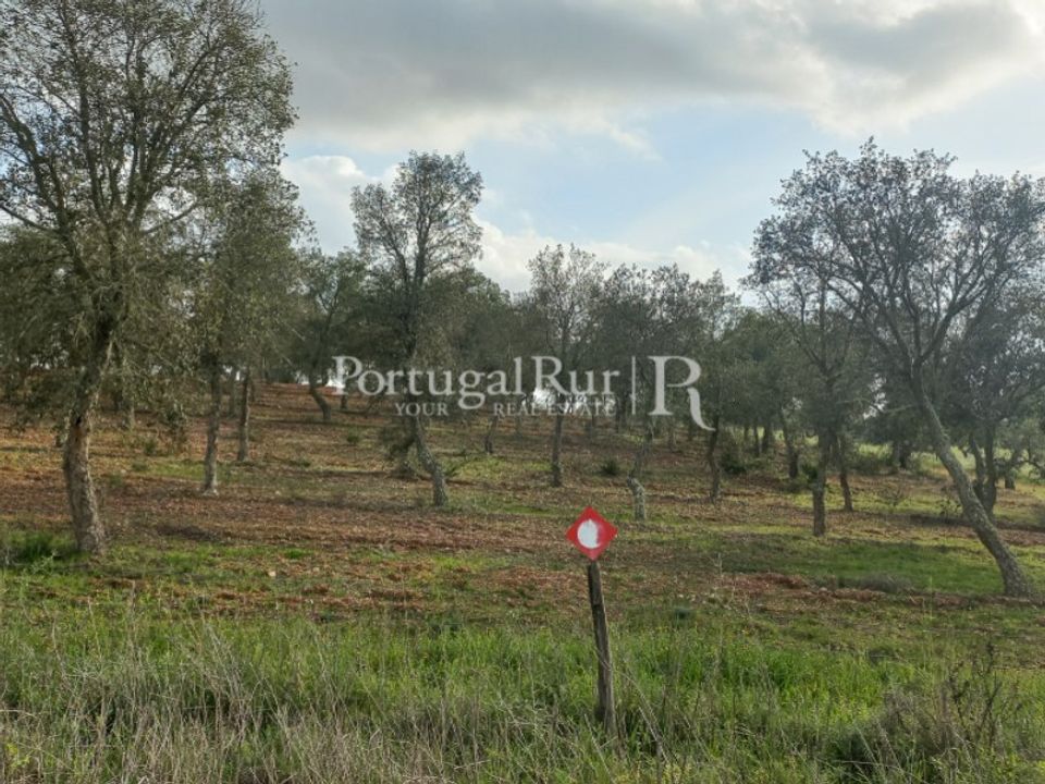 Helårsgrund i Serpa, Beja - foto 1