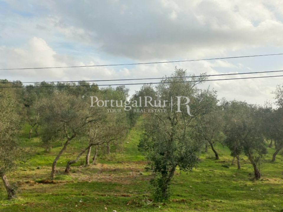 Helårsgrund i Serpa, Beja - foto 2