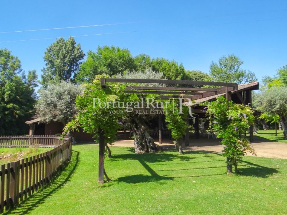 Granja a Abrantes, Santarem - foto 4