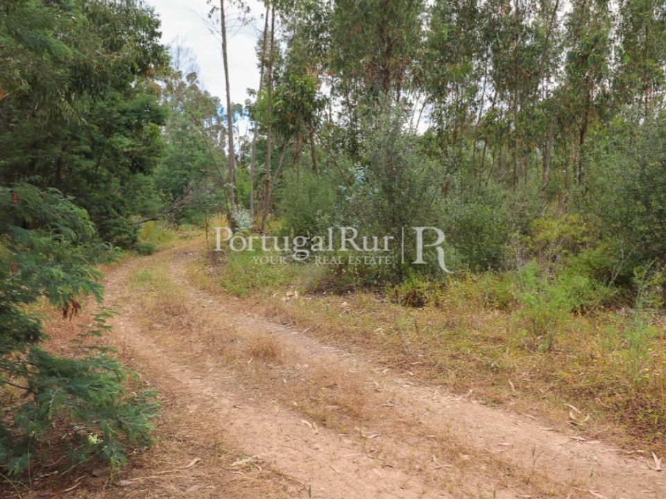 Masia a Silves, Faro - foto 5
