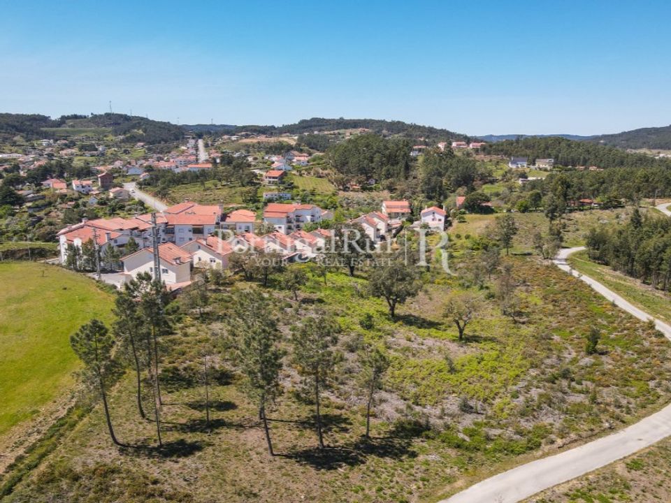 Helårsgrund i Proenca-a-Nova, Castelo Branco - foto 2