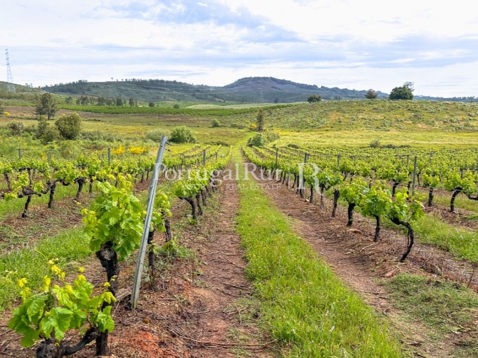 Helårsgrund i Vale de Prazeres e Mata da Rainha, Castelo Branco - foto 1