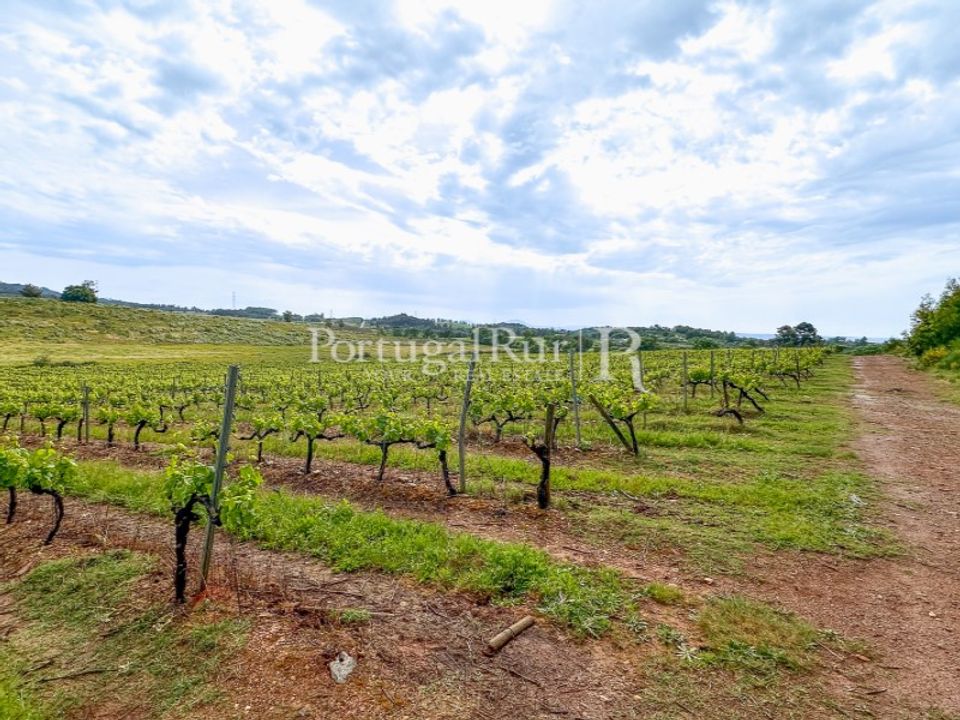 Helårsgrund i Vale de Prazeres e Mata da Rainha, Castelo Branco - foto 2
