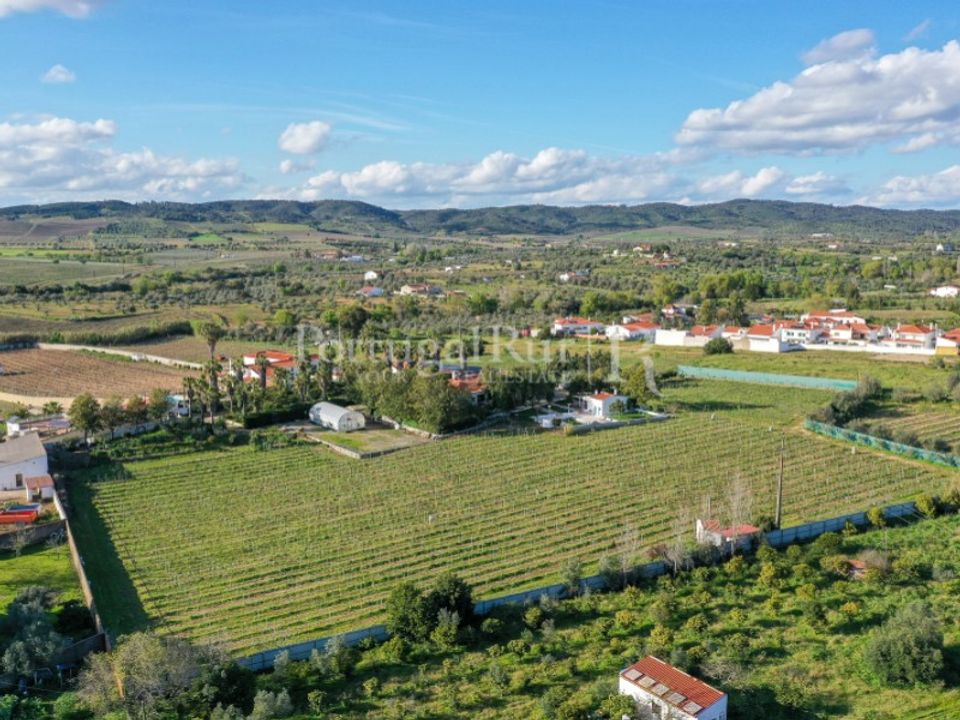Gård i Vidigueira, Beja - bilde 3