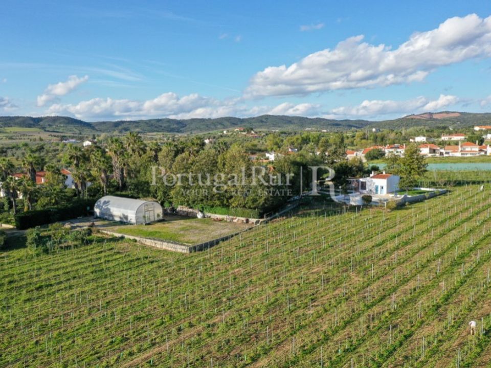 Gård i Vidigueira, Beja - bilde 5