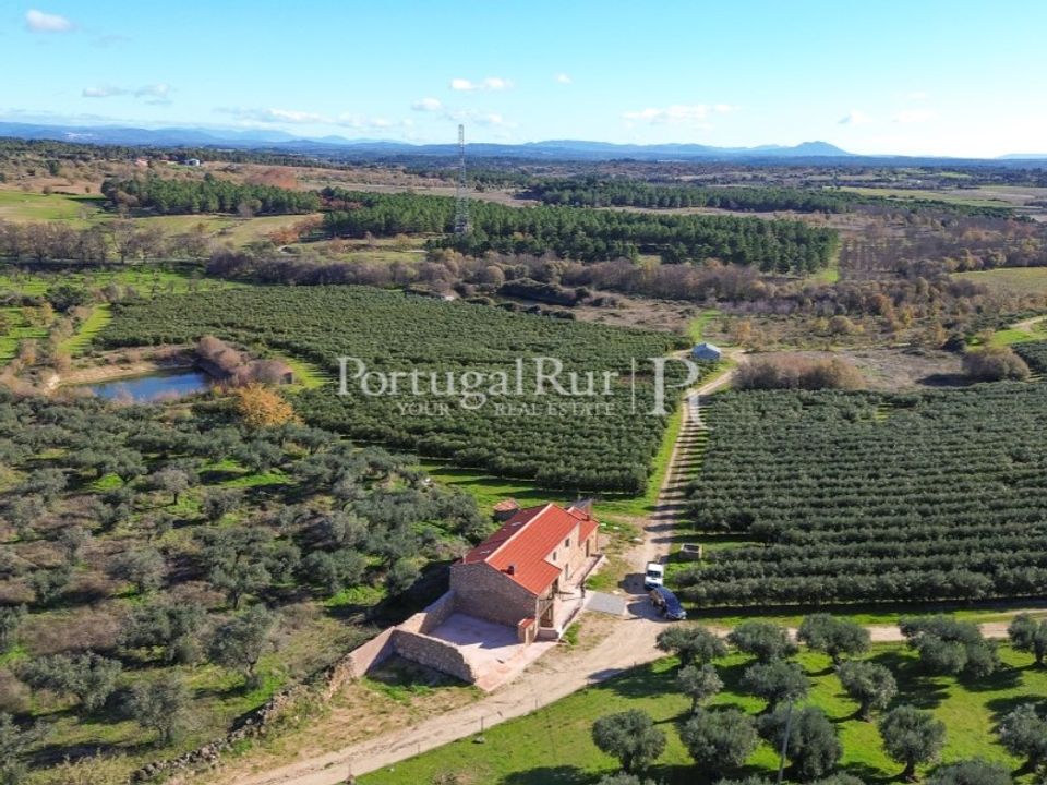 Farm i Vale de Prazeres e Mata da Rainha, Castelo Branco - foto 1