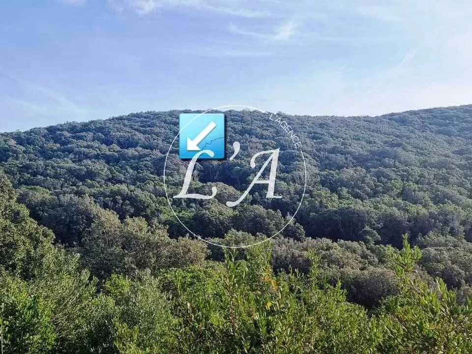 Terra em Coti-Chiavari, Corse-du-Sud - foto 4