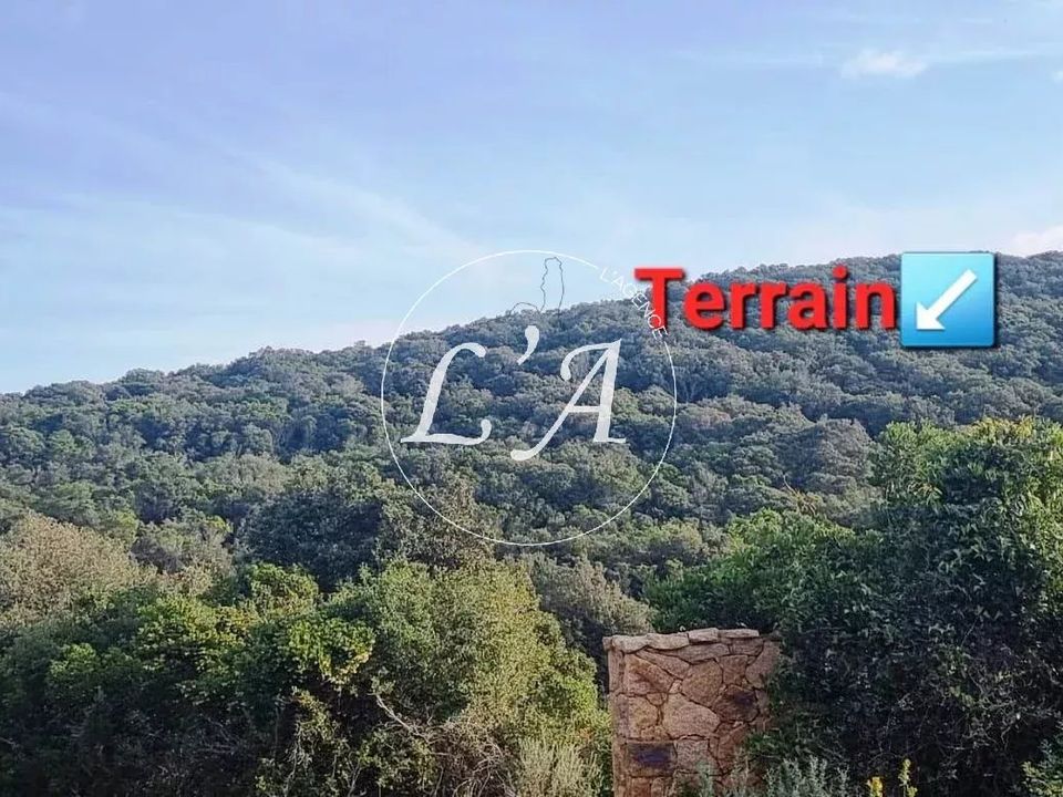 Terra em Coti-Chiavari, Corse-du-Sud - foto 5