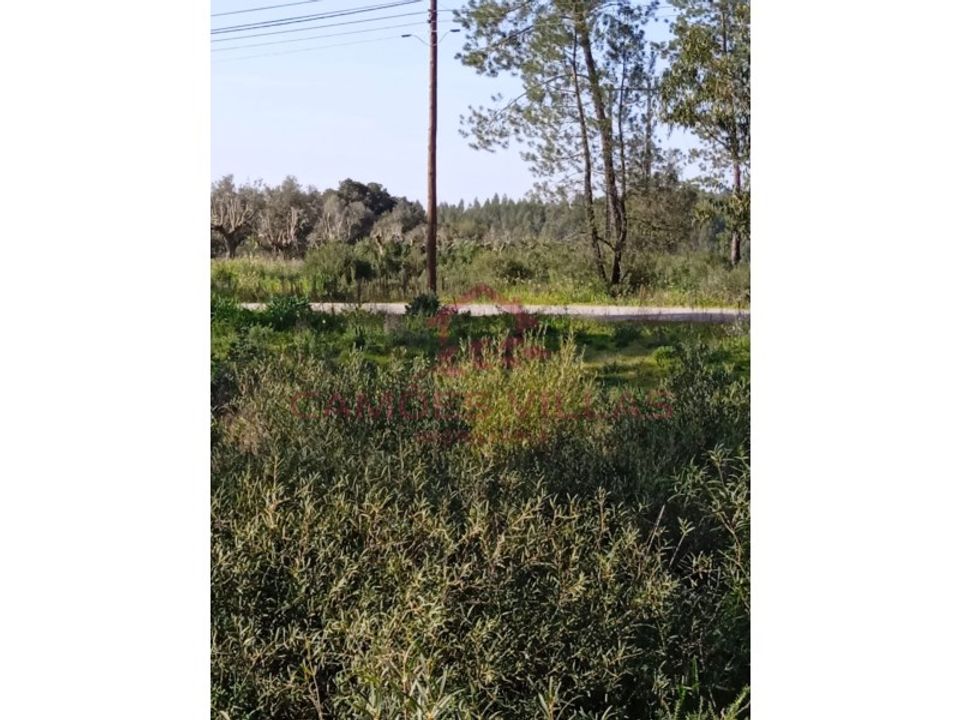 Helårsgrund i Vila Nova da Barquinha, Santarem - foto 4