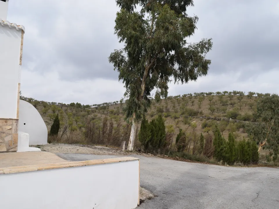 Landejendom i Velez-Rubio, Almeria - foto 5