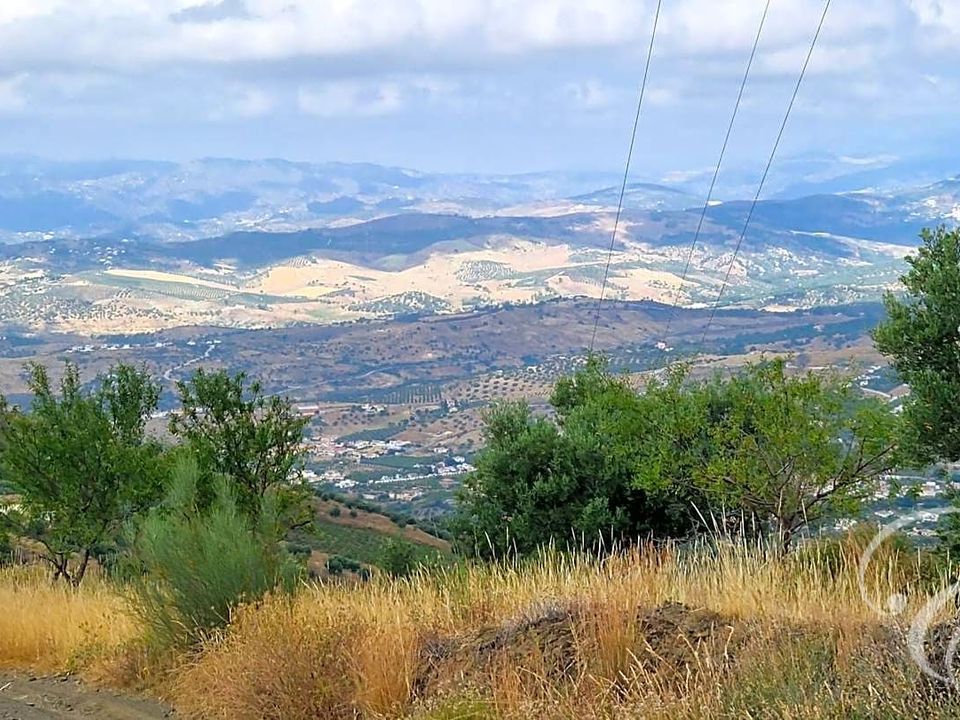 Landejendom i Alcaucin, Malaga - foto 3