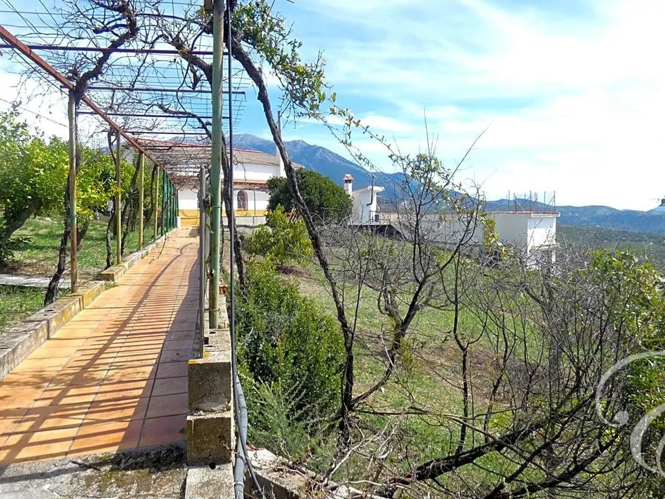 Landejendom i Periana, Malaga - foto 1