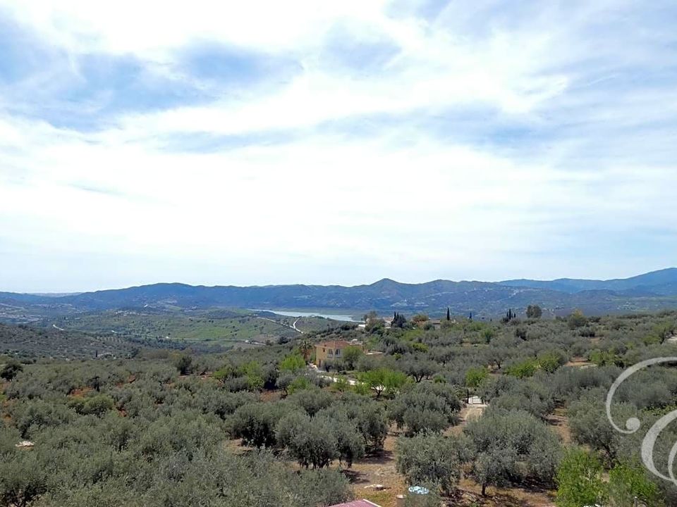 Landejendom i Periana, Malaga - foto 2