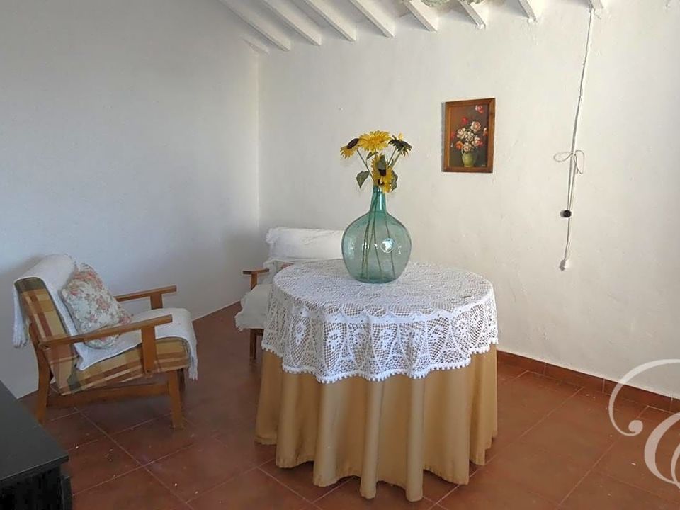 Casa de campo en Periana, Malaga - foto 3