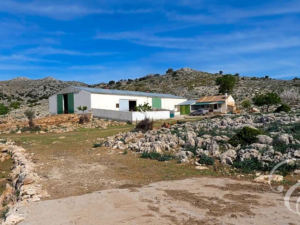 Masia a Zafarraya, Granada - foto 1