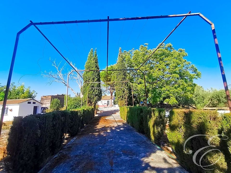 Landejendom i Moraleda De Zafayona, Granada - foto 4