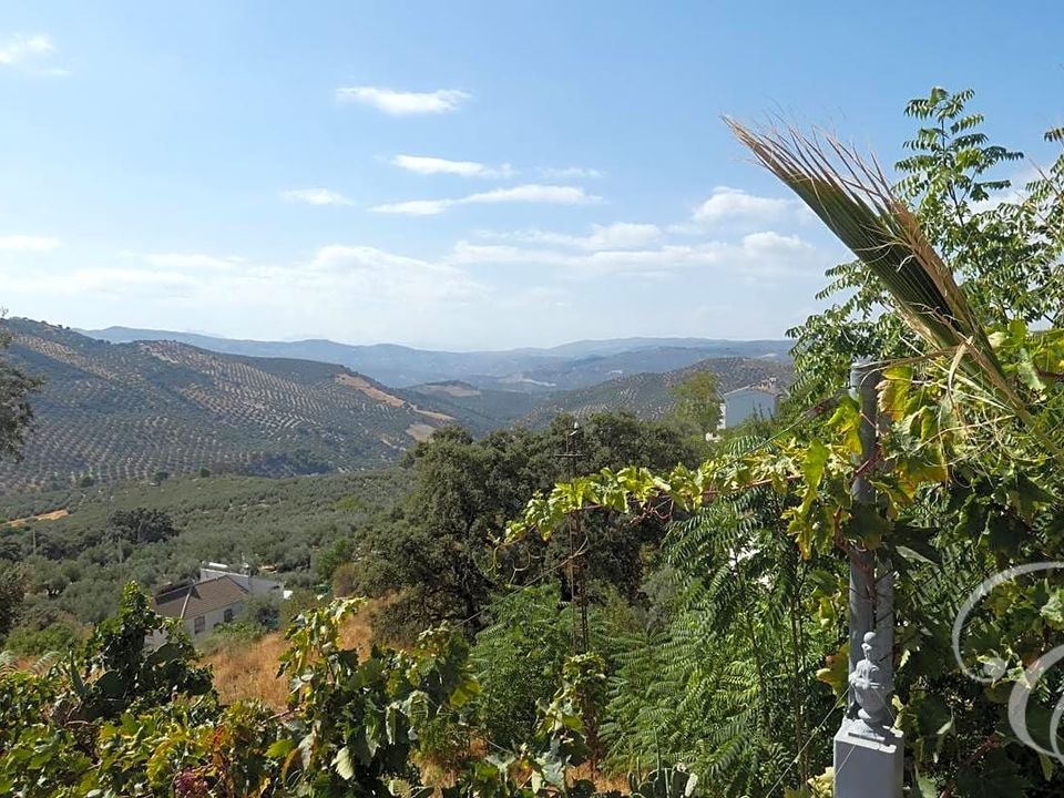 Villa i Iznajar, Cordoba - foto 4