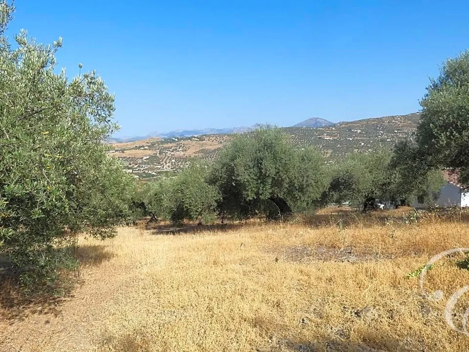 Landejendom i Alcaucin, Malaga - foto 1