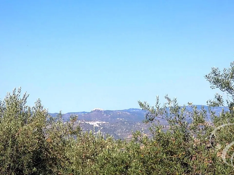 Landejendom i Alcaucin, Malaga - foto 2
