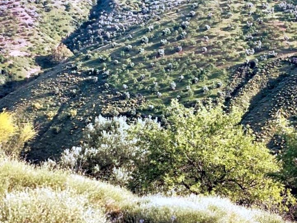 Herregård i Colmenar, Malaga - bilde 3