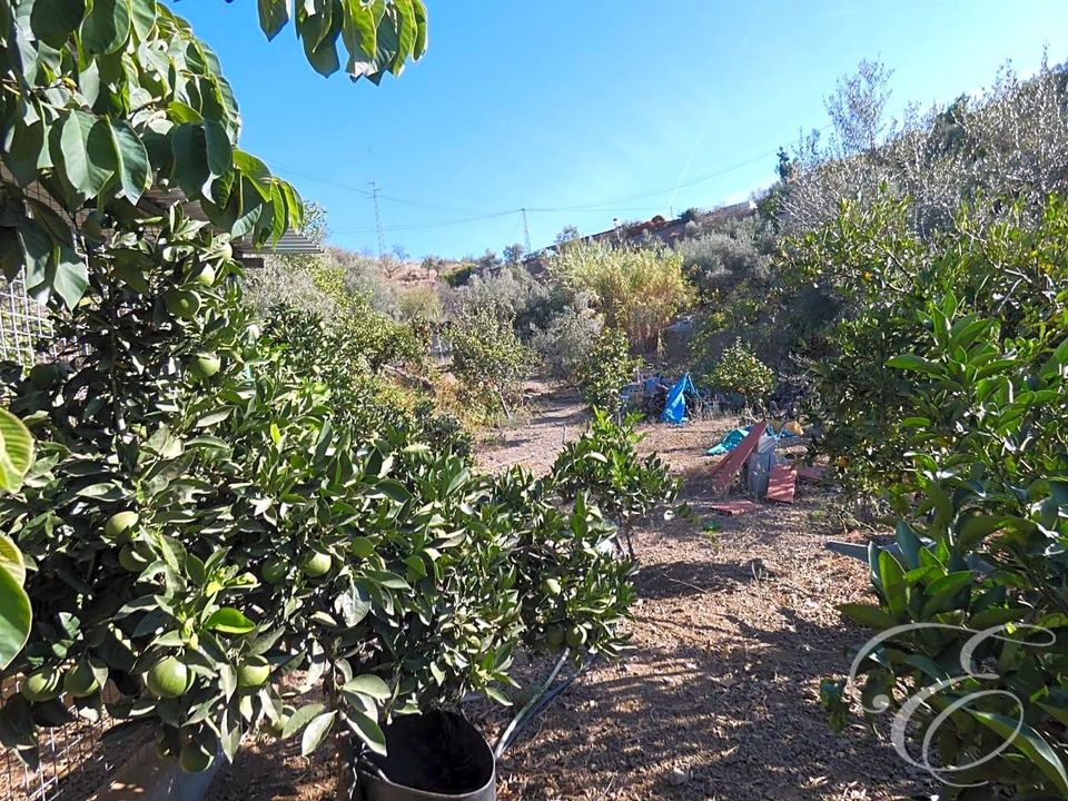 Landejendom i Sedella, Malaga - foto 2