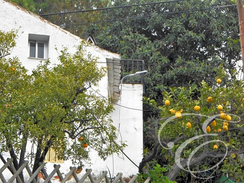 Landejendom i Canillas De Aceituno, Malaga - foto 1