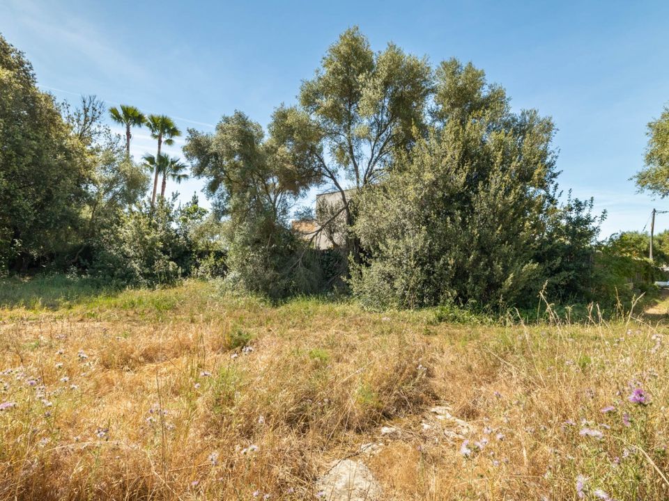 Helårsgrund i Pollenca, Mallorca - foto 2