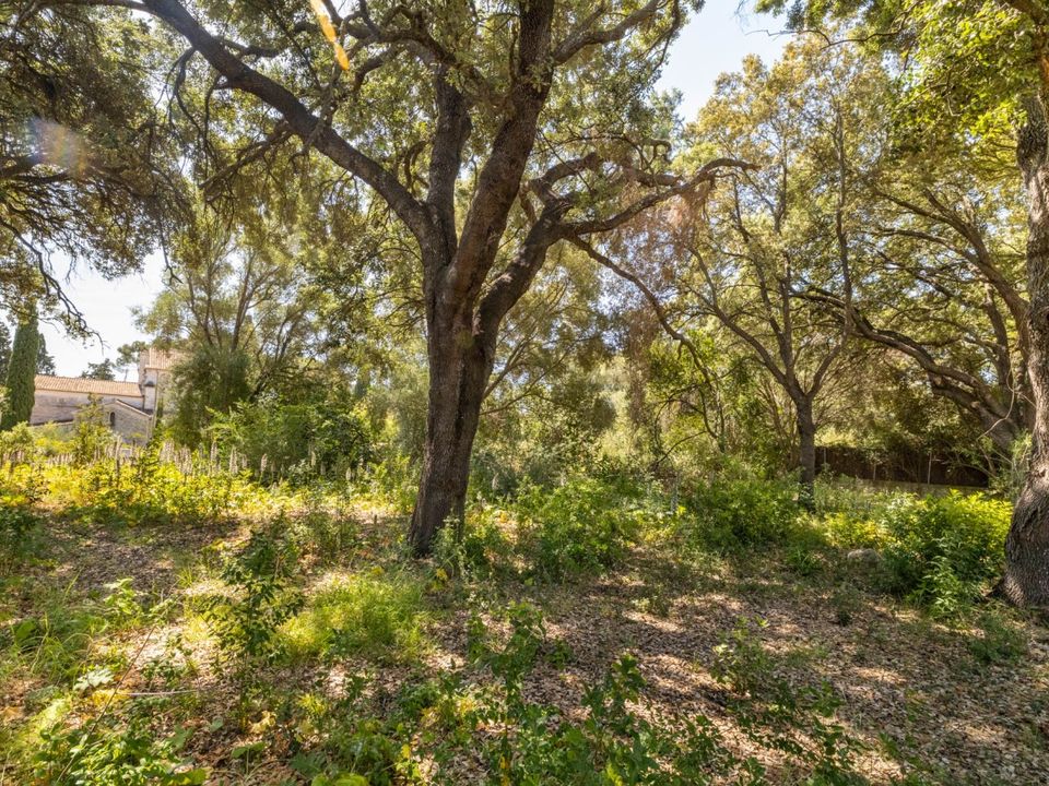 Helårsgrund i Pollenca, Mallorca - foto 3