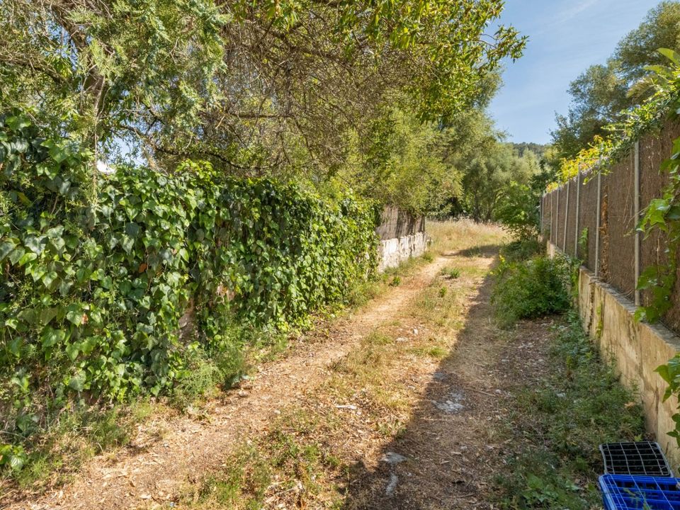 Helårsgrund i Pollenca, Mallorca - foto 5