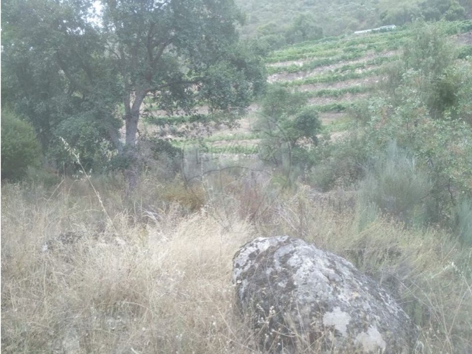 Helårsgrund i Carrazeda de Ansiaes, Braganca - foto 5