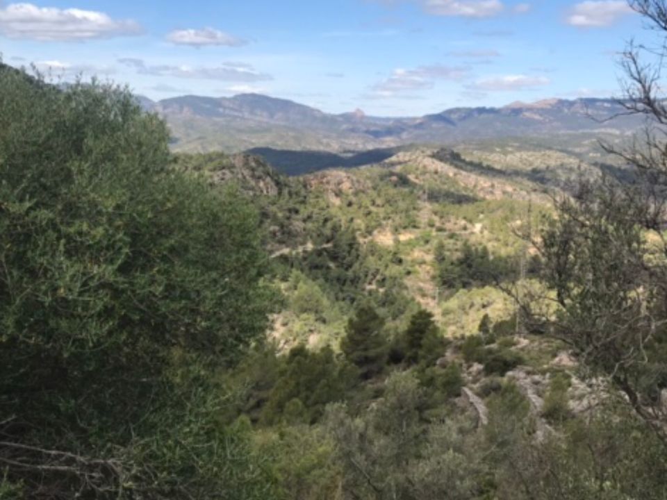 Finca i Benifallet, Tarragona - foto 2