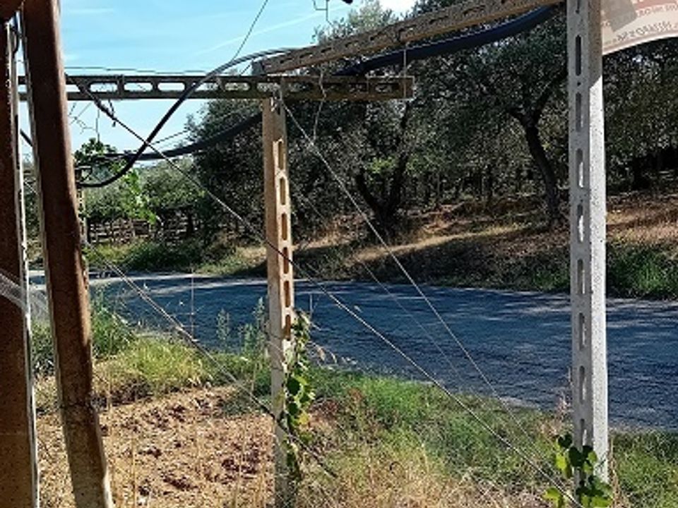 Erhvervsejendom i Tollo, Chieti - foto 4