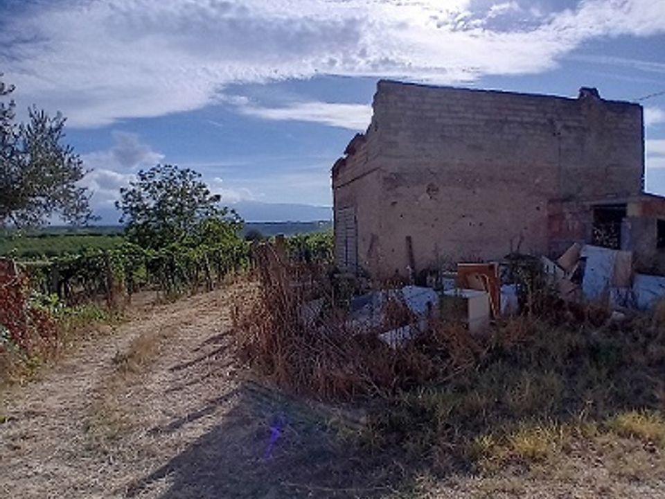 Erhvervsejendom i Tollo, Chieti - foto 3