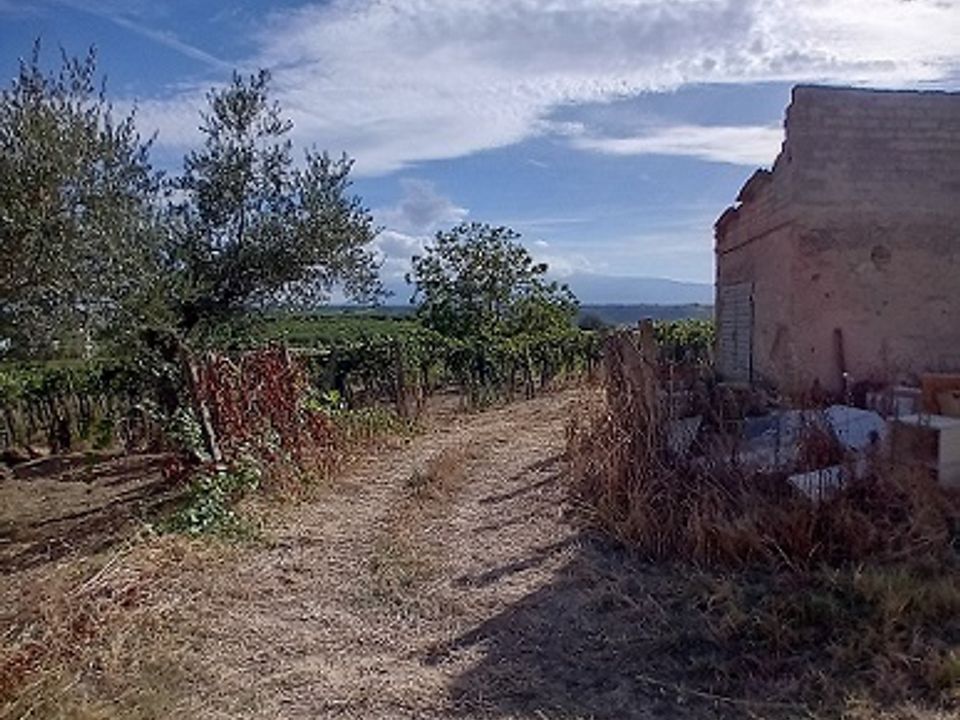 Erhvervsejendom i Tollo, Chieti - foto 4