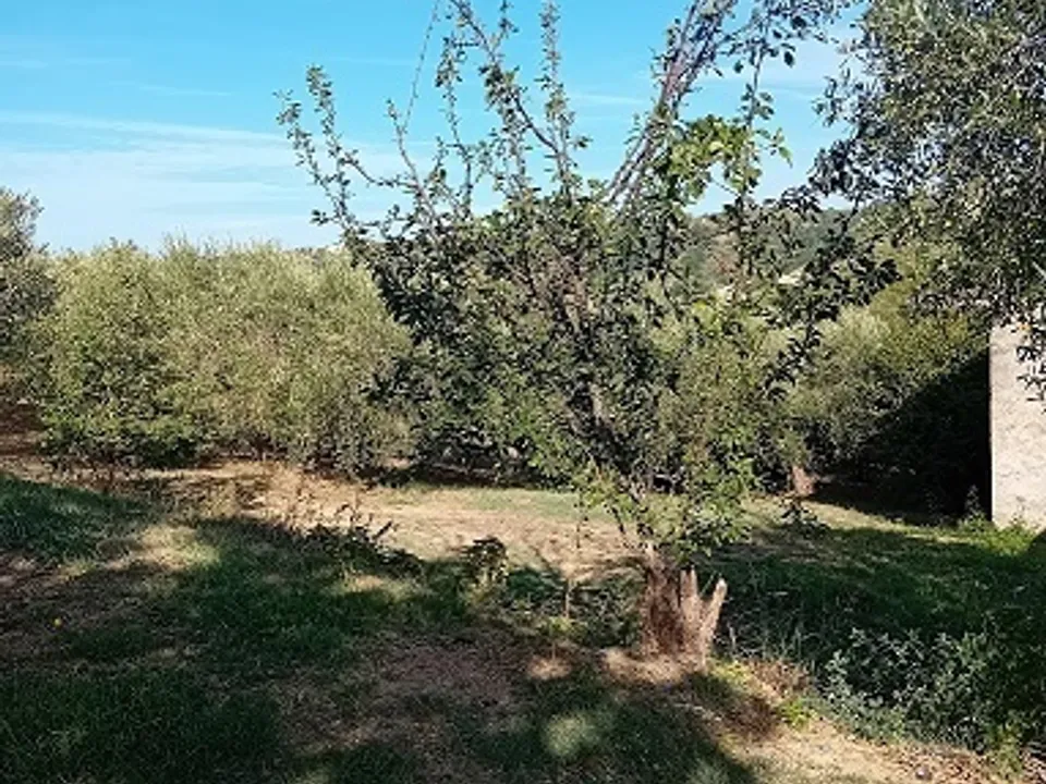 Erhvervsejendom i Miglianico, Chieti - foto 3