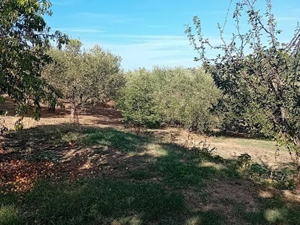 Erhvervsejendom i Miglianico, Chieti - foto 4