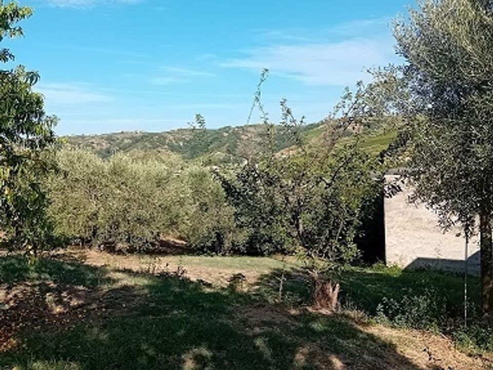 Erhvervsejendom i Miglianico, Chieti - foto 5