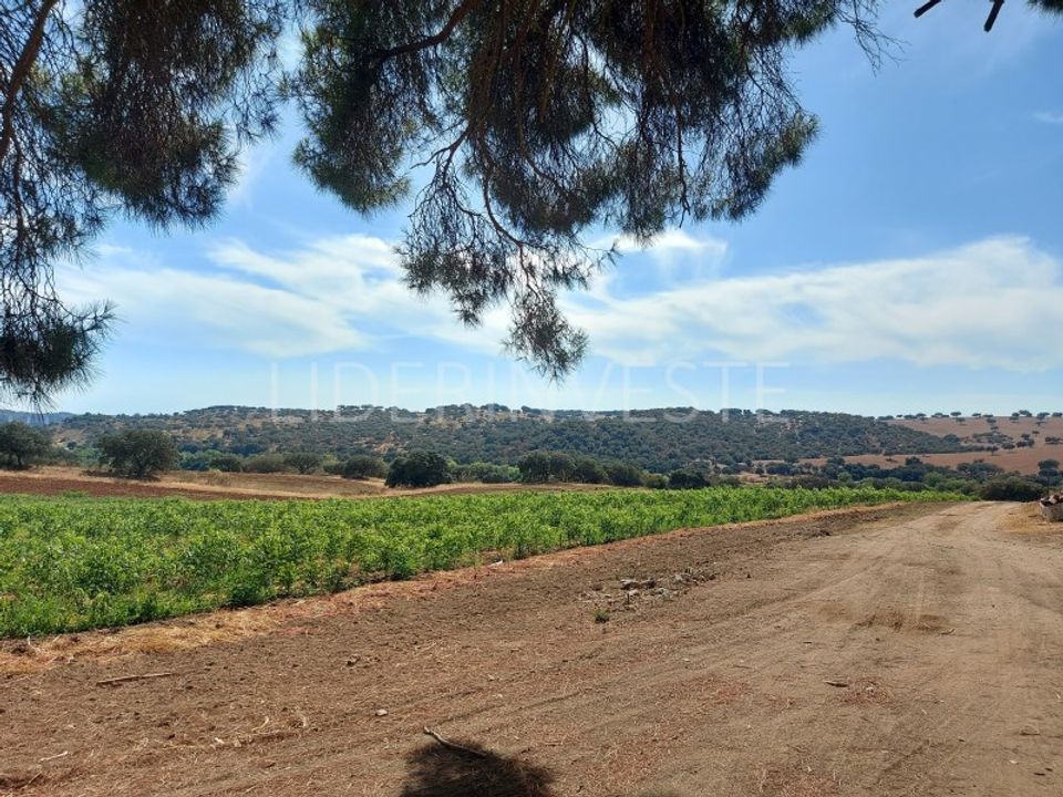 Herregård i Serpa, Beja - bilde 2