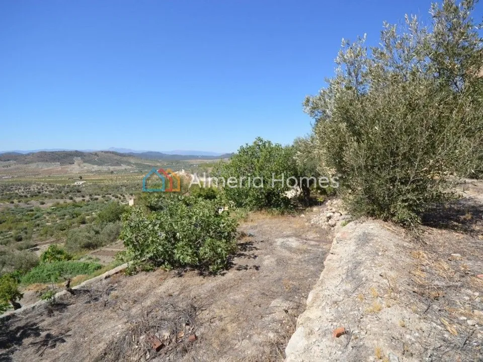 Landejendom i Oria, Almeria - foto 5