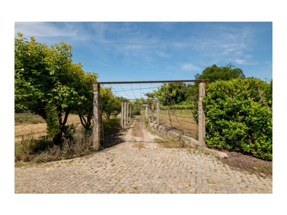 Farm i Nogueira, Porto - foto 2