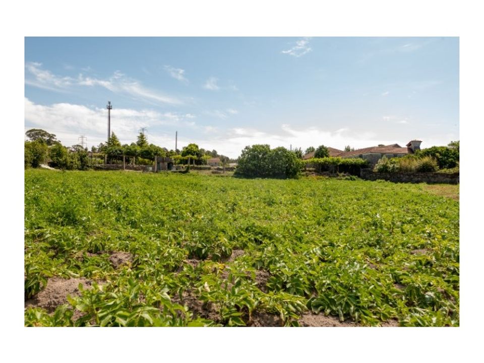 Farm i Nogueira, Porto - foto 3