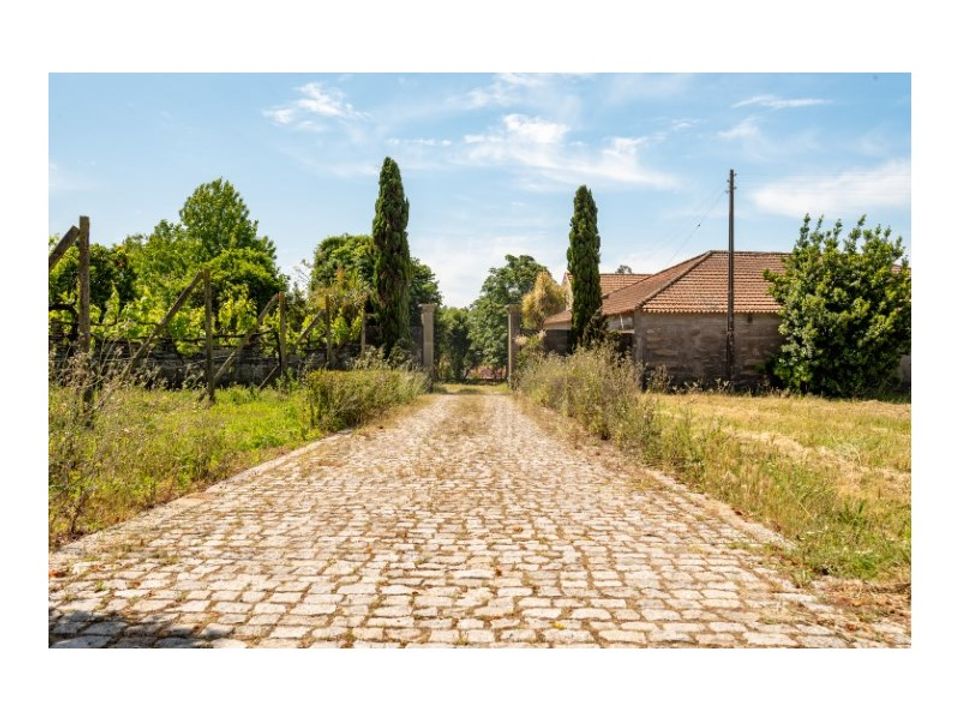 Farm i Nogueira, Porto - foto 4