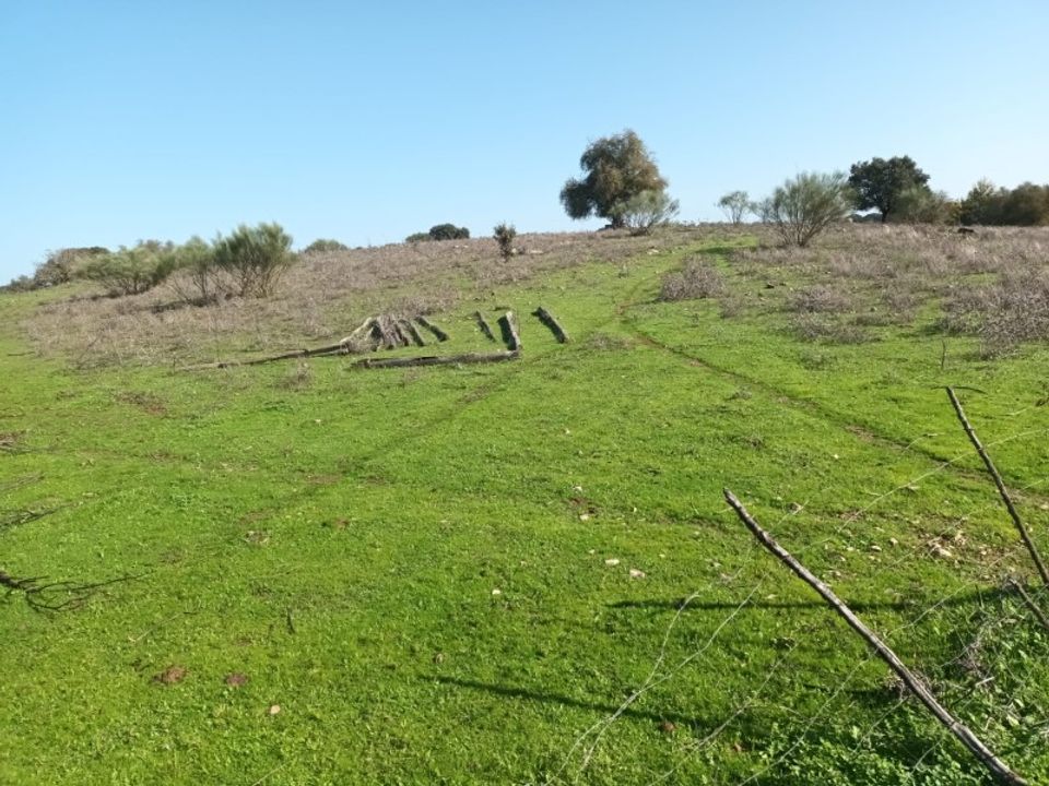 Helårsgrund i Barbacena e Vila Fernando, Portalegre - foto 2