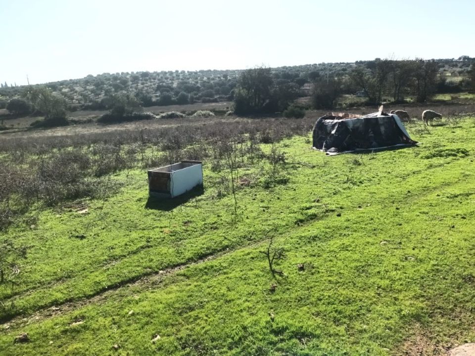 Helårsgrund i Barbacena e Vila Fernando, Portalegre - foto 3