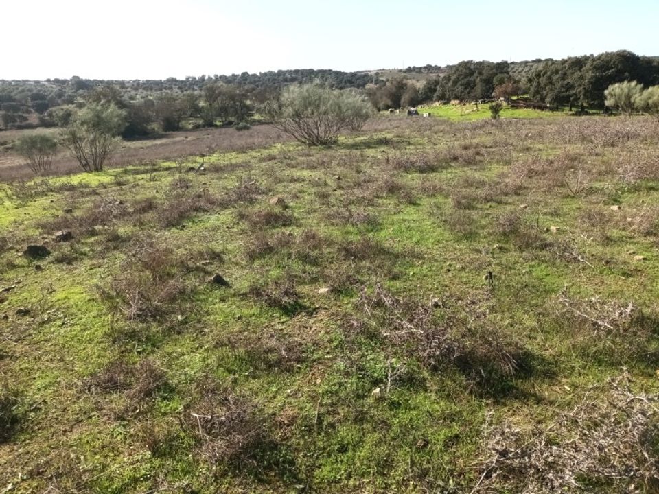 Helårsgrund i Barbacena e Vila Fernando, Portalegre - foto 4