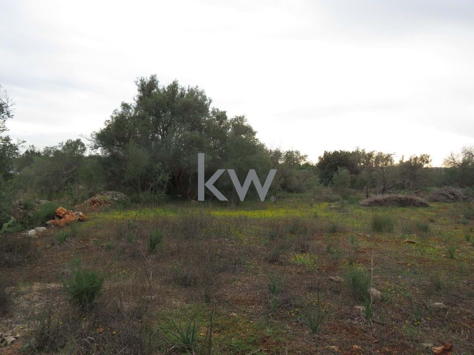 Villa i Alcantarilha, Faro - foto 1
