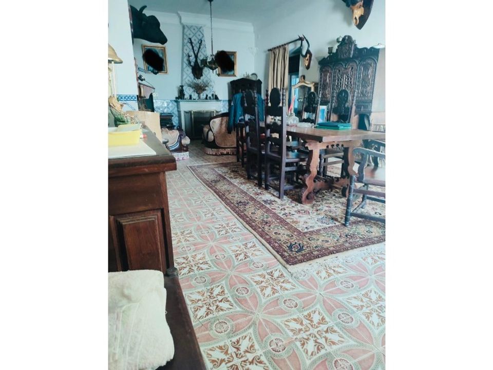 Villa i Abrantes, Santarem - foto 1