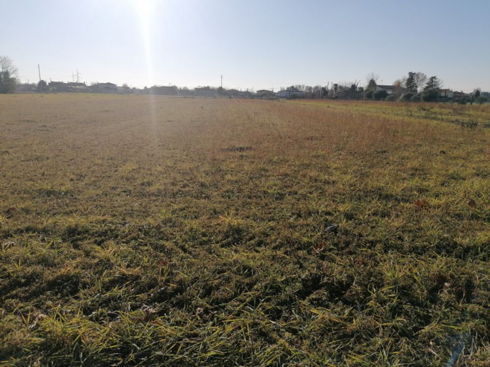 Terreno Stra, Venice - foto 5