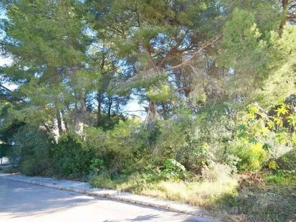 Helårsgrund i Javea, Alicante - foto 3