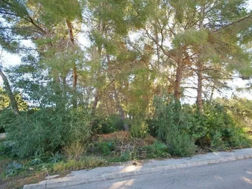 Helårsgrund i Javea, Alicante - foto 4